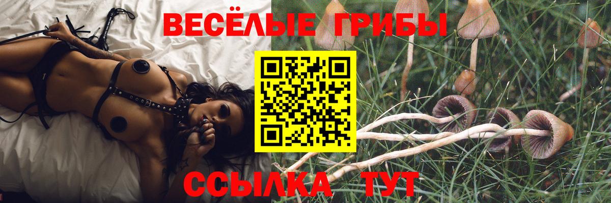 Галлюциногенные грибы прущие грибы Балтийск