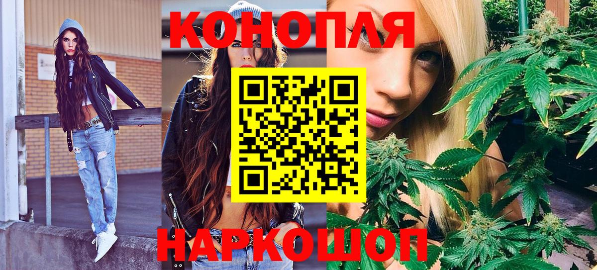 Бошки марихуана конопля Балтийск