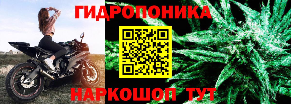 Балтийск  Бошки марихуана сатива  Марихуана гибрид  Вход с VPN  Канабис марихуана 